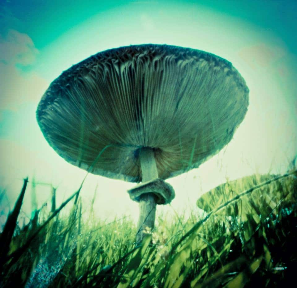 пинхол фотография