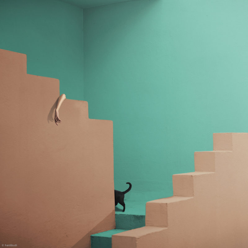 направляющие линии в фотографии