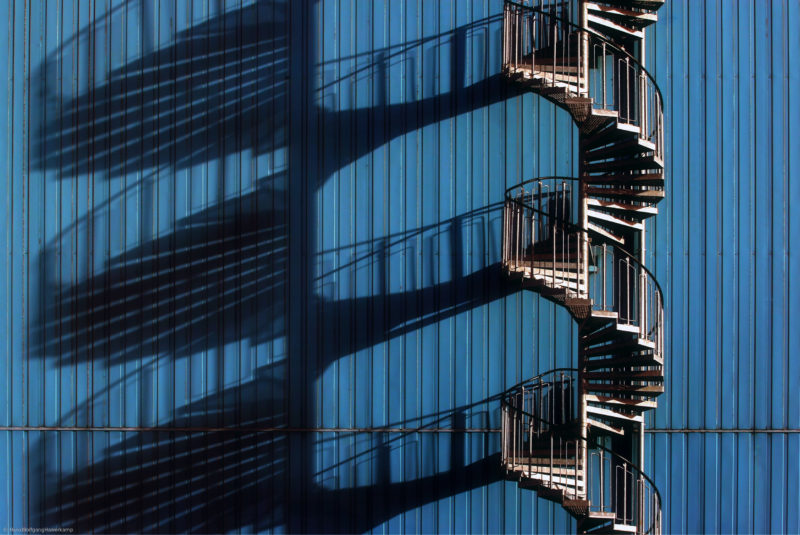 золотое сечение в фотографии