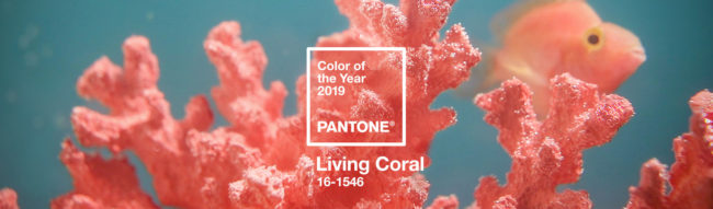 Living Coral – цвет 2019 года по версии Pantone