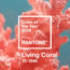 Living Coral – цвет 2019 года по версии Pantone