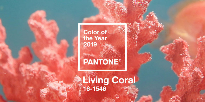 Living Coral – цвет 2019 года по версии Pantone