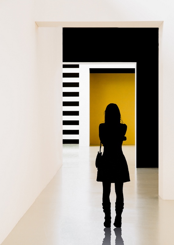 Силуэтный портрет