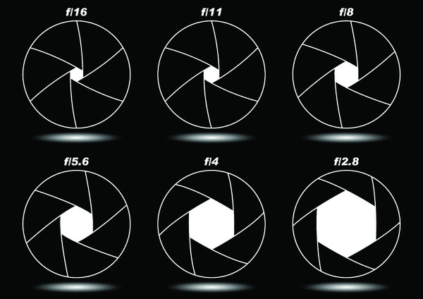 что такое диафрагма