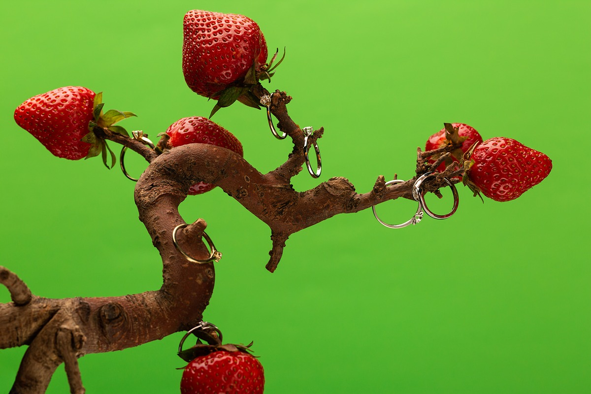 ювелирная съемка в Киеве