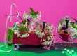 Коммерческая фотография