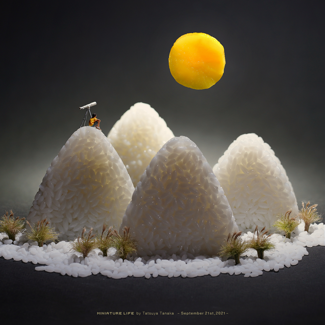 миниатюрная съемка