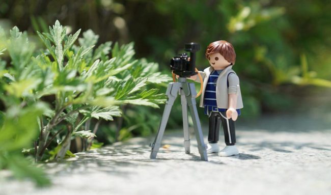 Види стоп моушн